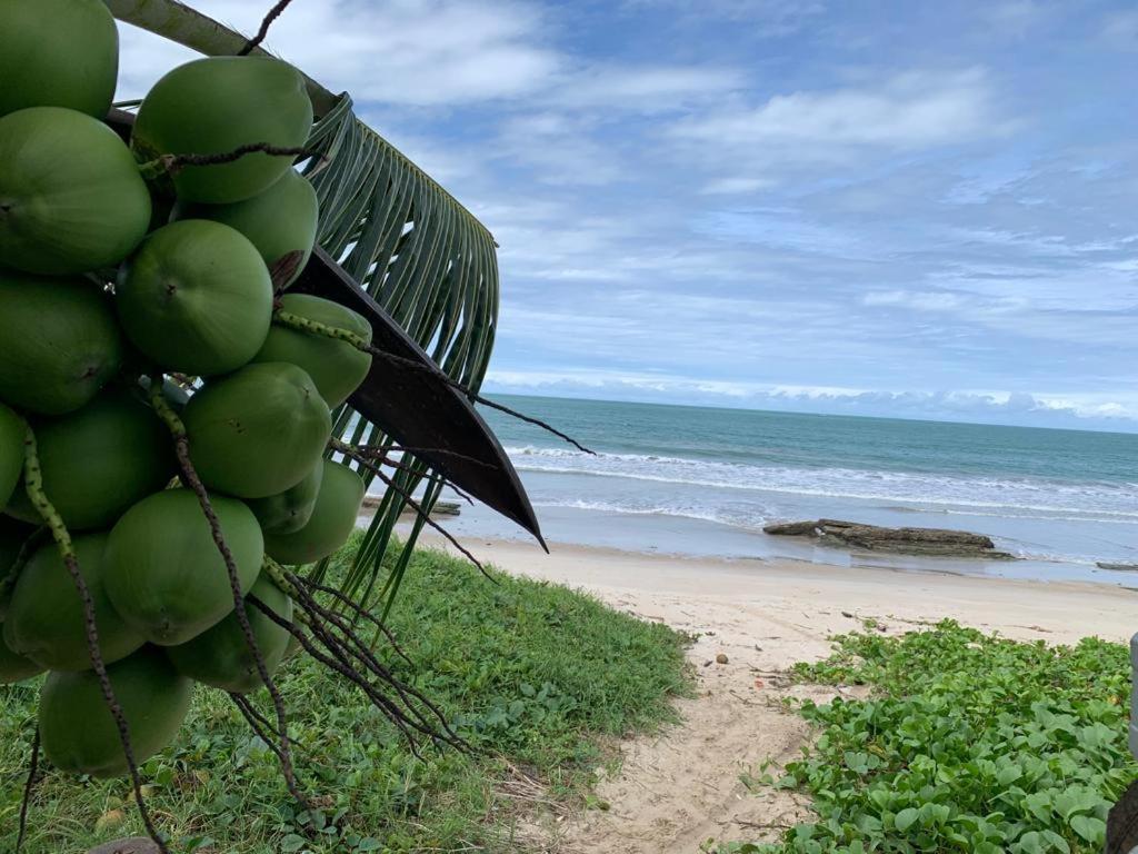 Casa No Paraiso Dos Carneiros Em Tamandaré Εξωτερικό φωτογραφία